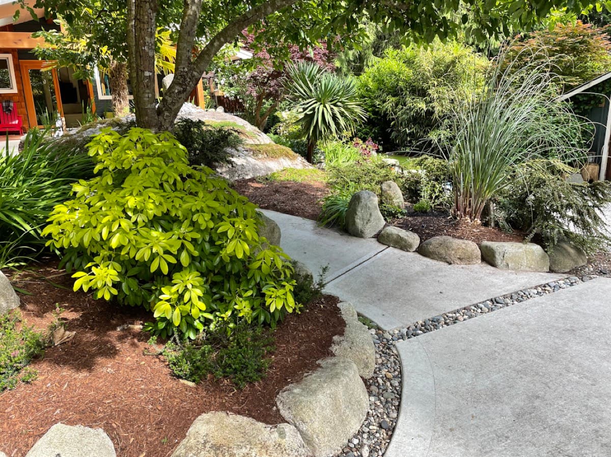 landscaping by Lou Lou's Landscaping in Dundarave