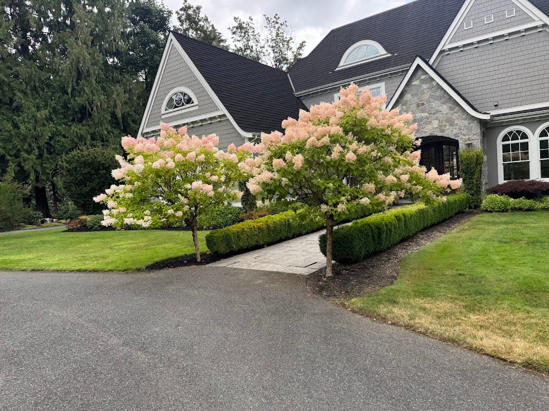 Lushgreen Landscapers Ltd., photograph 2 of Surrey