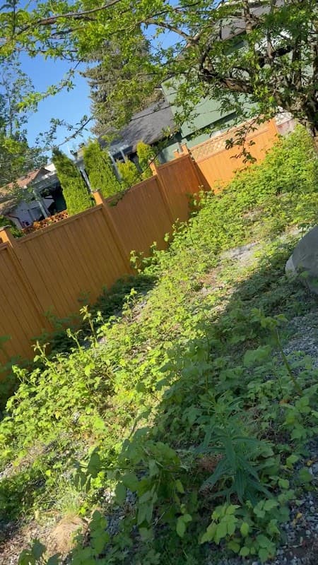 Lushgreen Landscapers Ltd., photograph 3 of Surrey