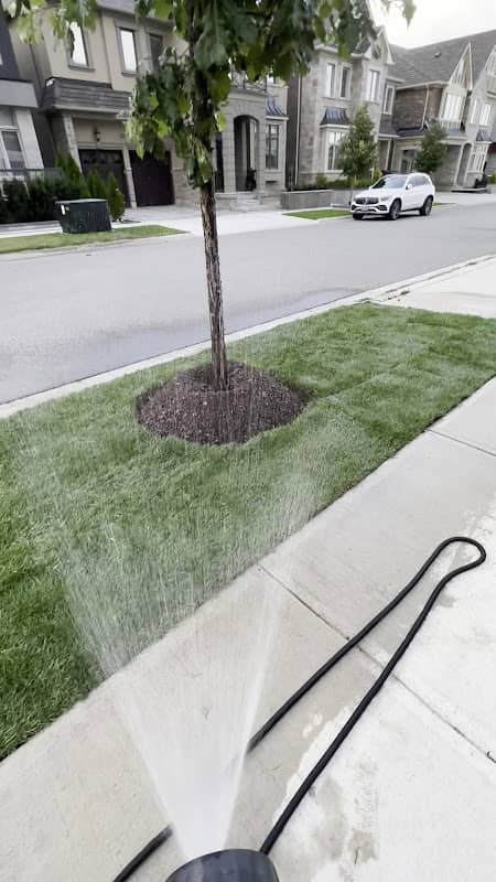 M Landscaping Ltd., photograph 3 of Mississauga