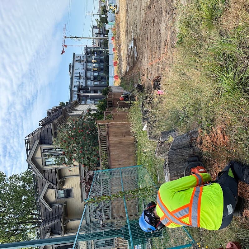 M McConkey Arborist Services Ltd, photograph 2 of Abbotsford