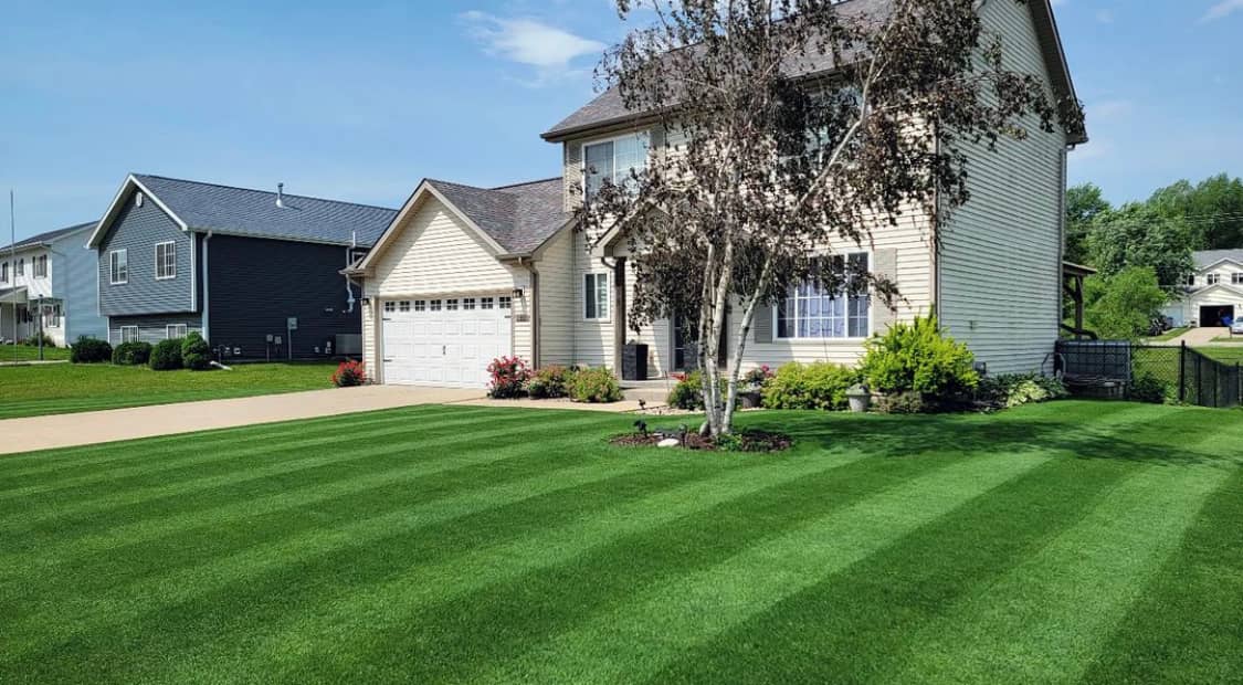 lawn care by Markham Grass And Garden in Agincourt