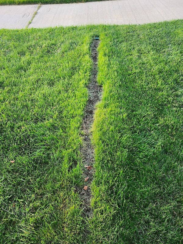 Maximum Landscaping Services, photograph 2 of Islington-City Centre West