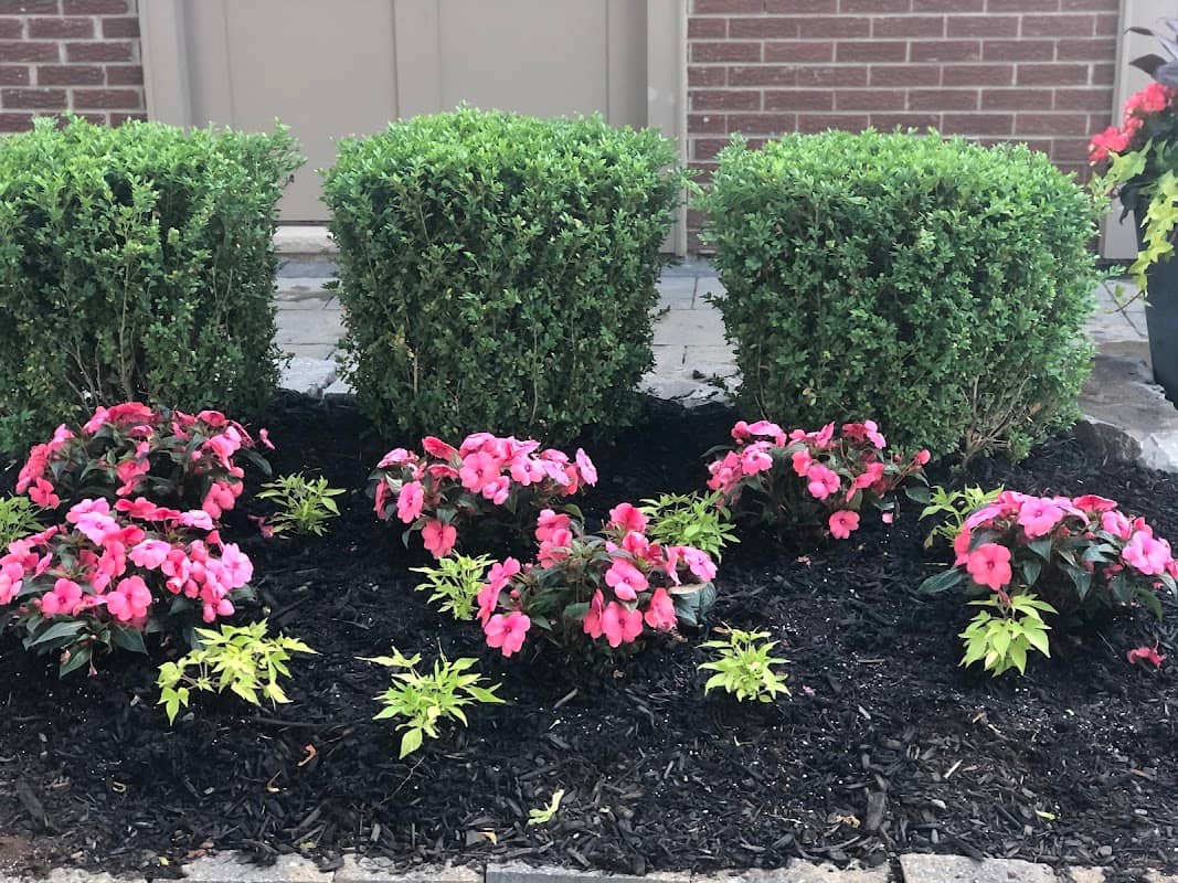 lawn care by Maximus Jardin inc in Richmond Hill