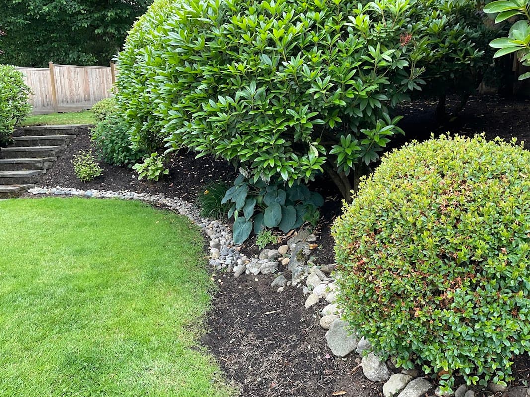 landscaping by Medina landscape service in Ladner