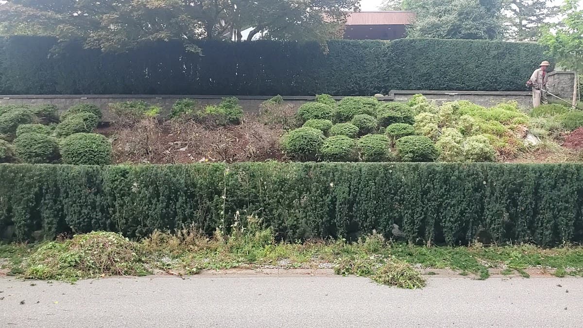 Michael Landscaping Ltd., photograph 3 of Burnaby North