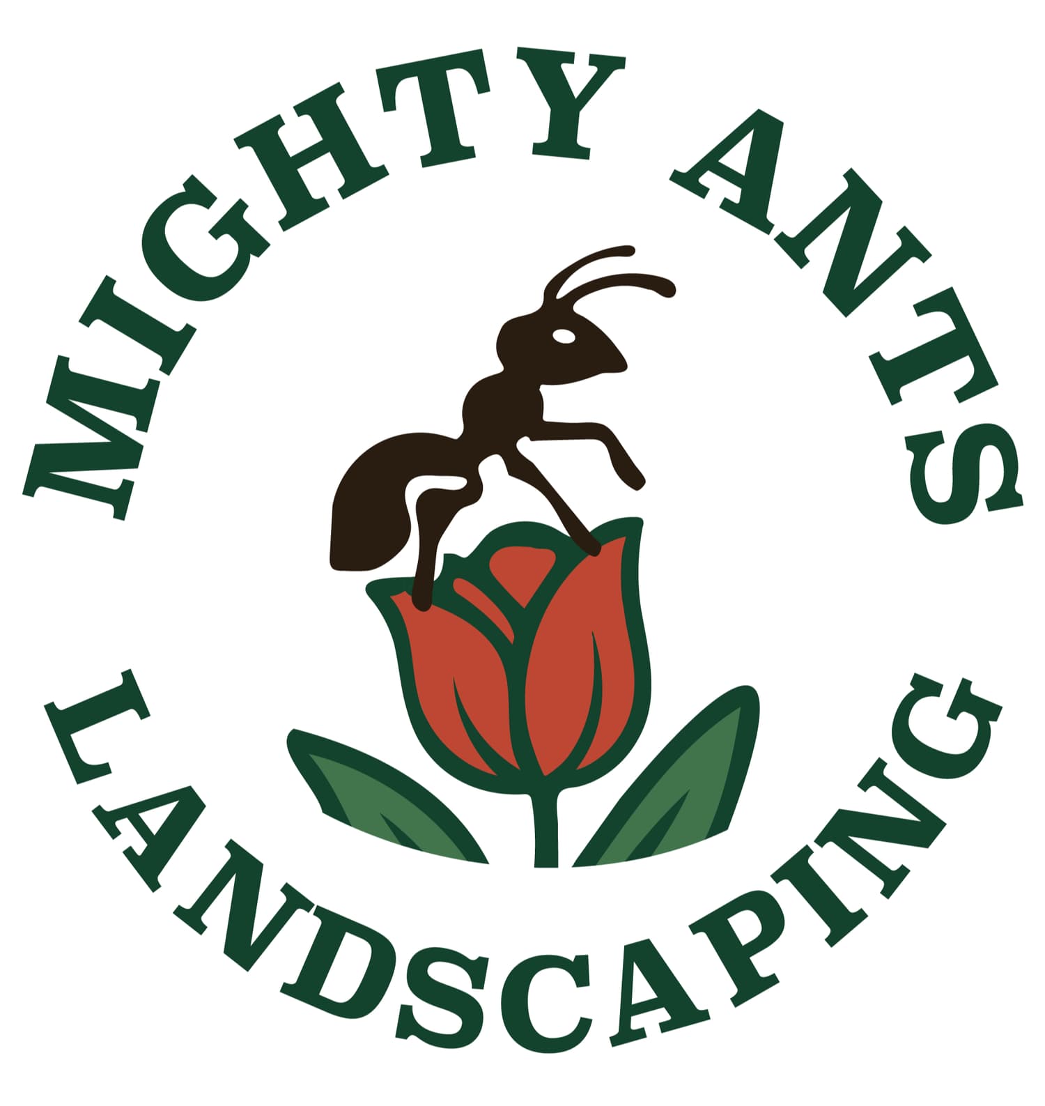 Mighty Ants Landscape & Design, photograph 6 of Lonsdale
