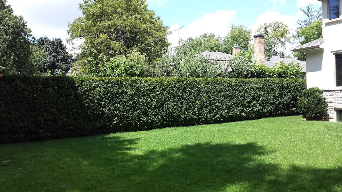 landscaping by Mineola Landscaping in Mimico