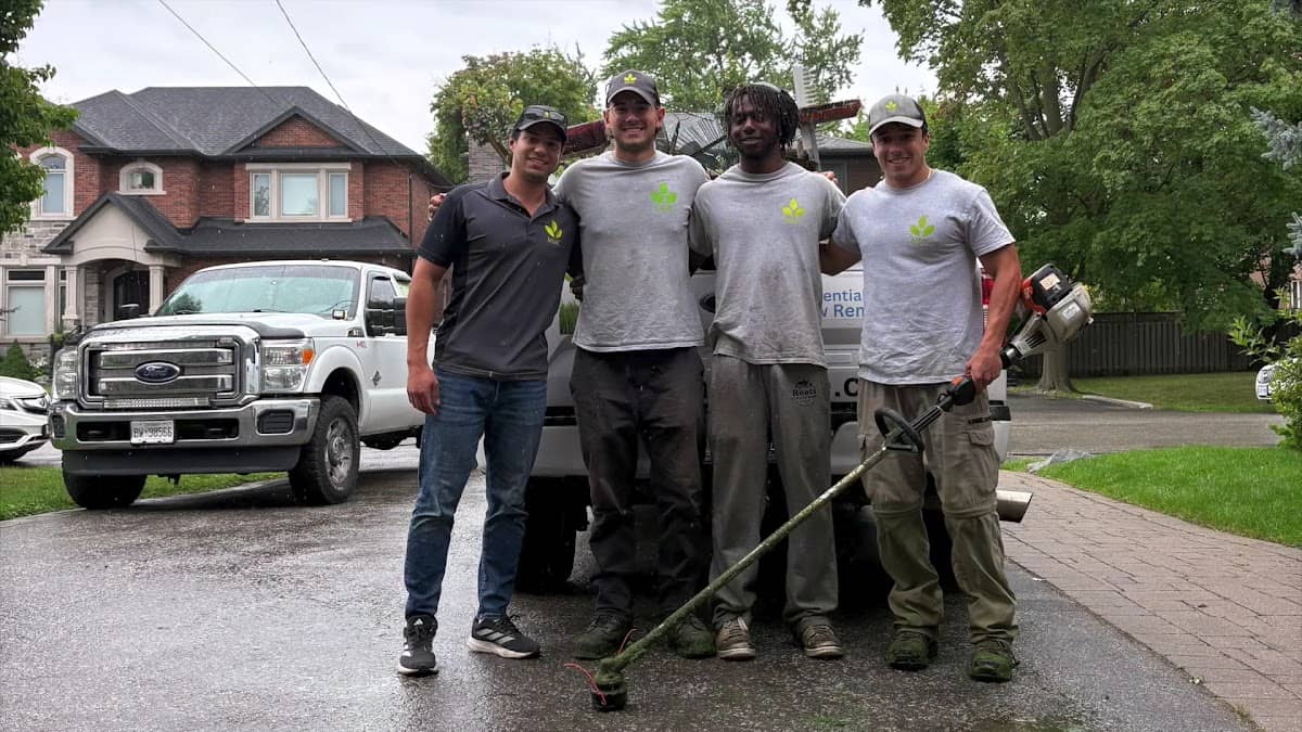 MMC Lawn Care, photograph 4 of Islington-City Centre West