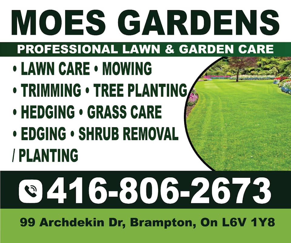 lawn care by Moes Gardens in Brampton