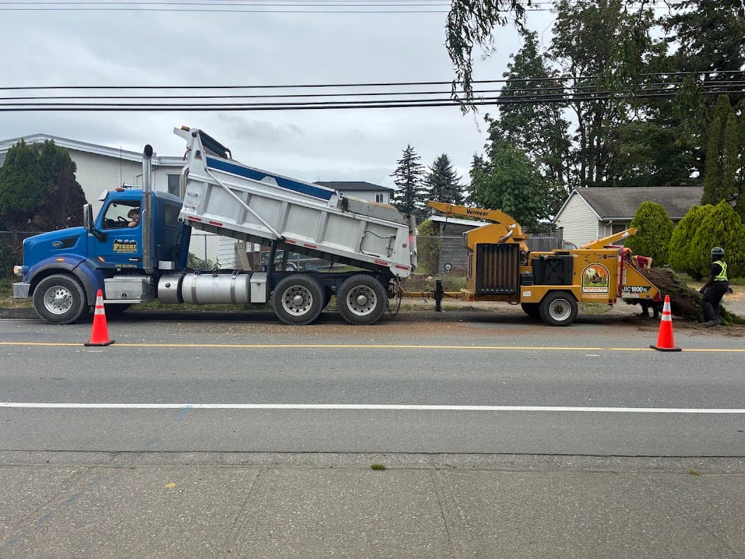 Mountain View Tree Service Inc., photograph 2 of Maple Ridge