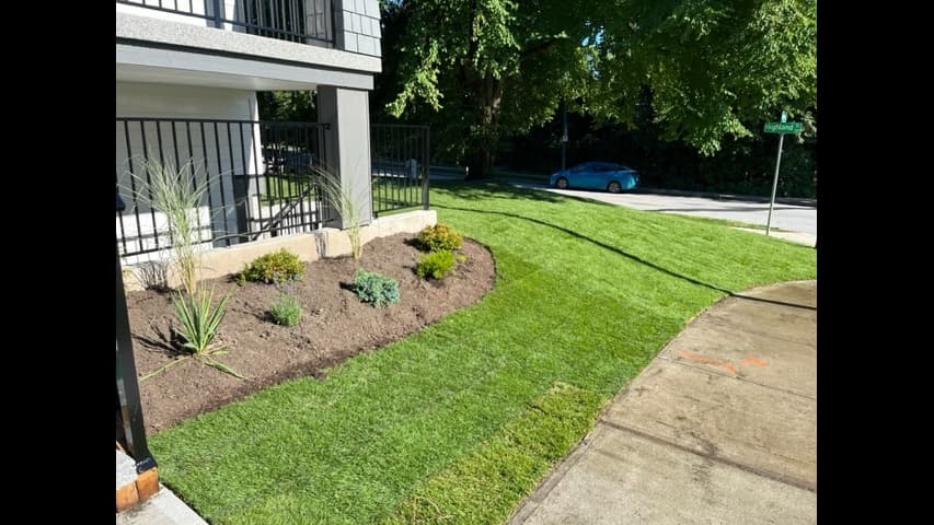 landscaping by Mr Lawn Installation and Landscaping Vancouver in West End