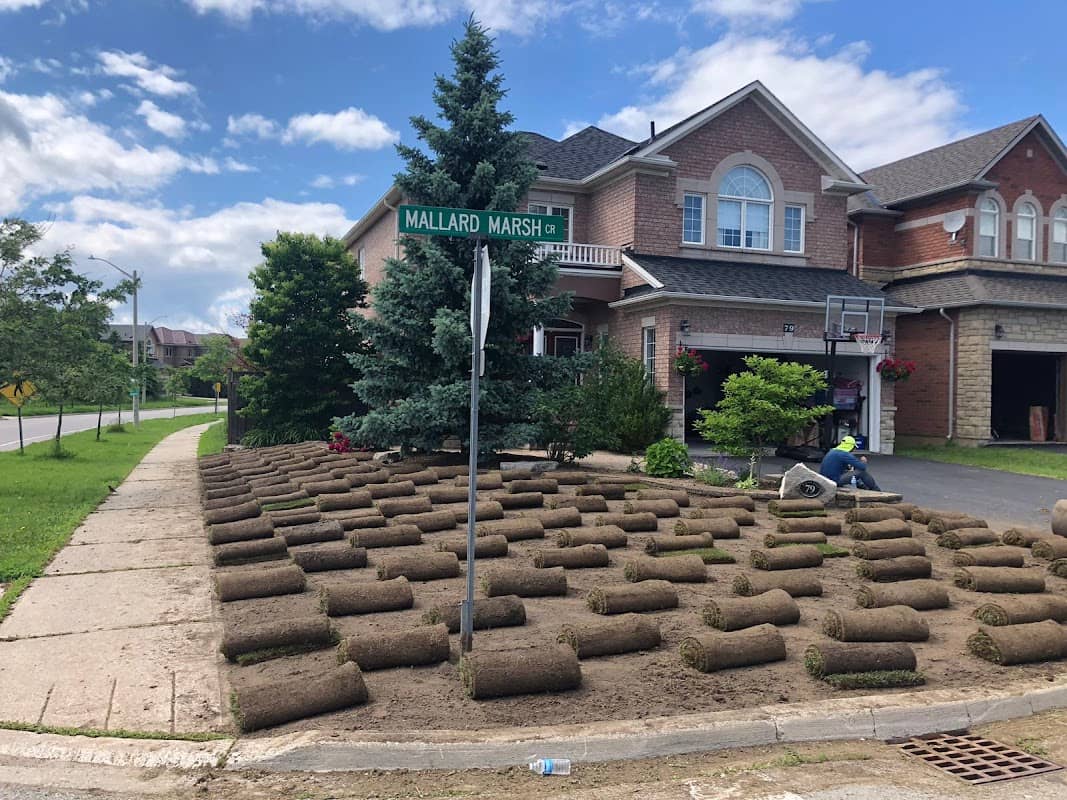 My Landscapers Inc., photograph 4 of Willowdale