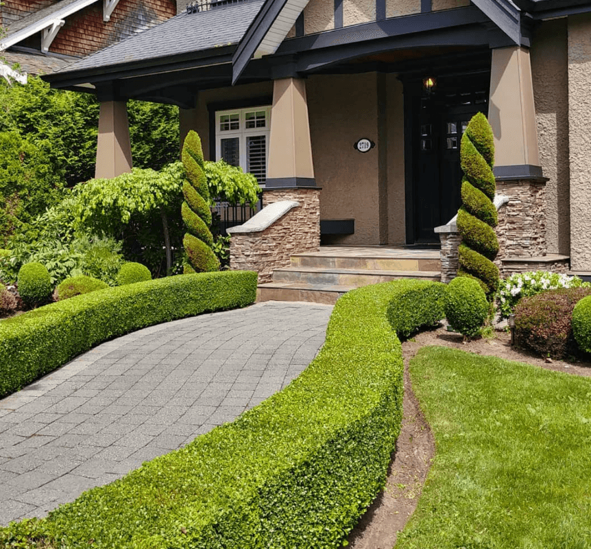 lawn care by Neighbourhood Lawncare Ltd. in Marpole