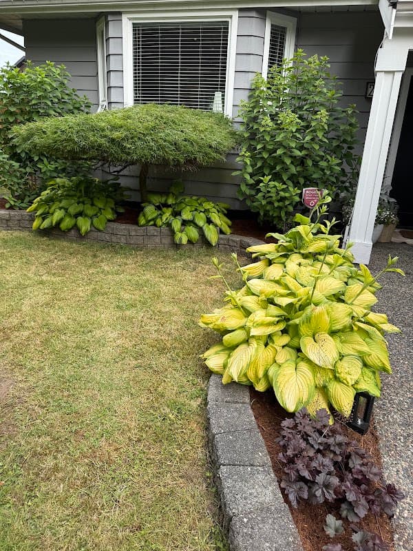 Ngo Gardener Solution, photograph 2 of Maple Ridge