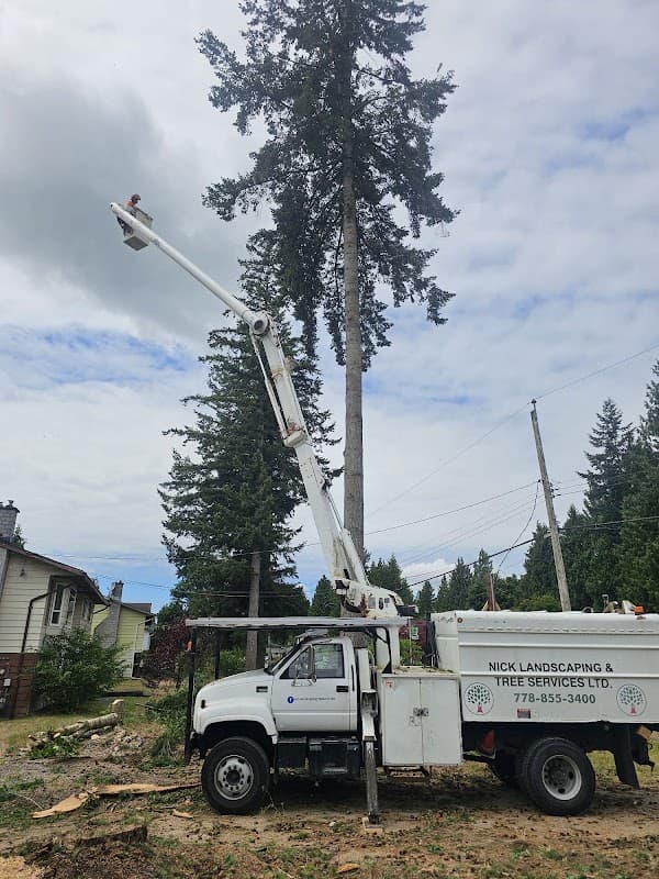 tree services by Nick Landscaping & Tree-Cutting Service Ltd in Surrey