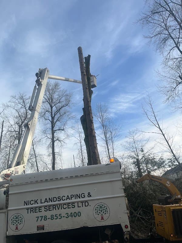 Nick Landscaping & Tree-Cutting Service Ltd, photograph 2 of Surrey