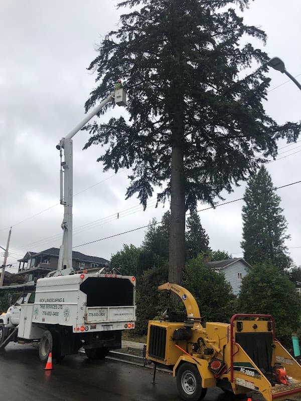 Nick Landscaping & Tree-Cutting Service Ltd, photograph 3 of Surrey