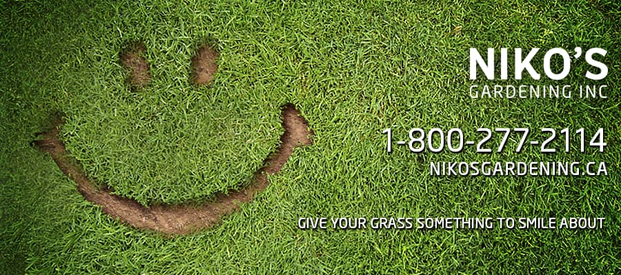 landscaping by Niko's Gardening Inc. in Vaughan