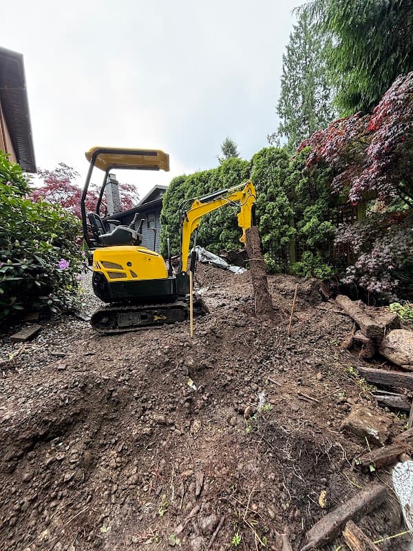 NM Mini Excavation, photograph 3 of Pitt Meadows