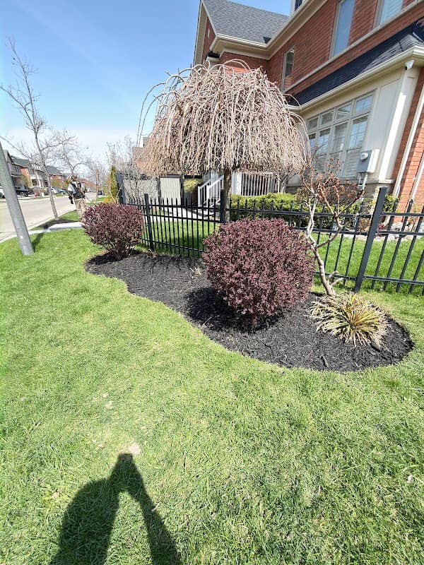 lawn care by Northbound Property Care in Islington-City Centre West