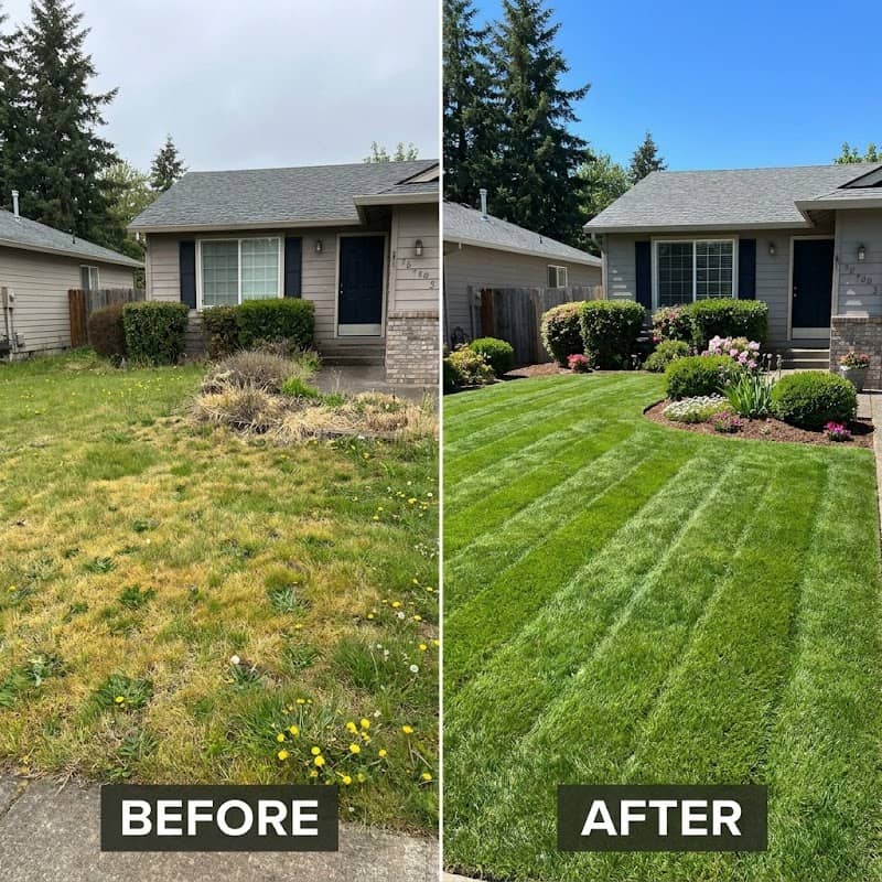lawn care by Northern crown landscape in Brampton