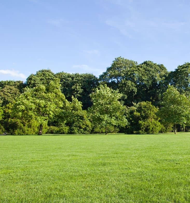 Northern Living Landscapes, photograph 4 of Agincourt