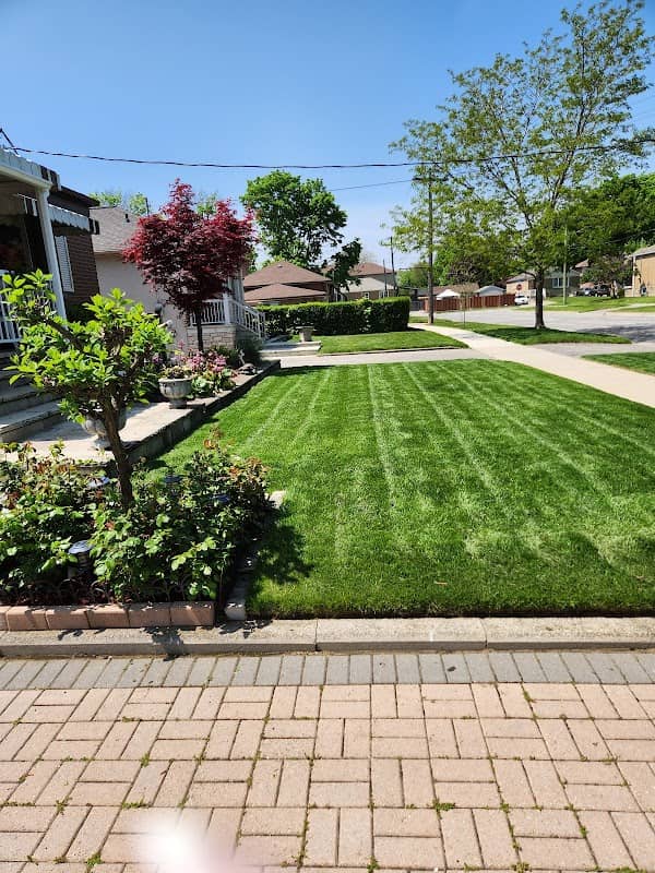 Nutri-Lawn - Mississauga Lawn Care, photograph 2 of Islington-City Centre West