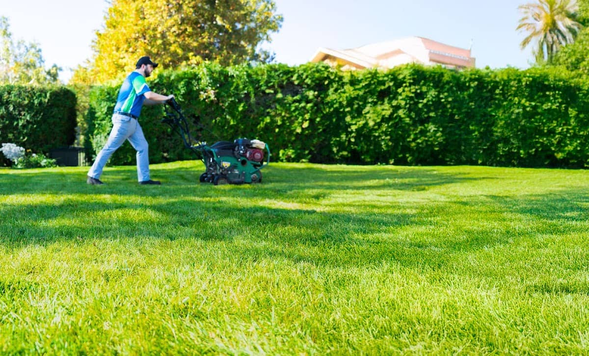 Nutri-Lawn - Mississauga Lawn Care, photograph 3 of Islington-City Centre West