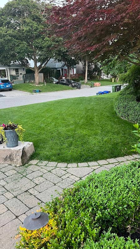 lawn care by Nutri-Lawn York Region North | Durham West in Richmond Hill
