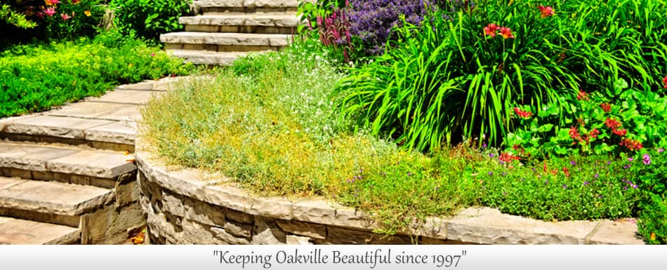 Oakville Landscaping Inc, photograph 3 of Islington-City Centre West