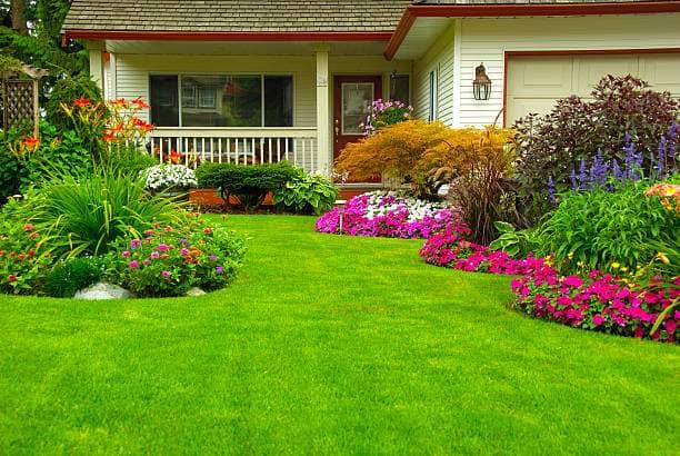 landscaping by Oasis Lawns in The Junction