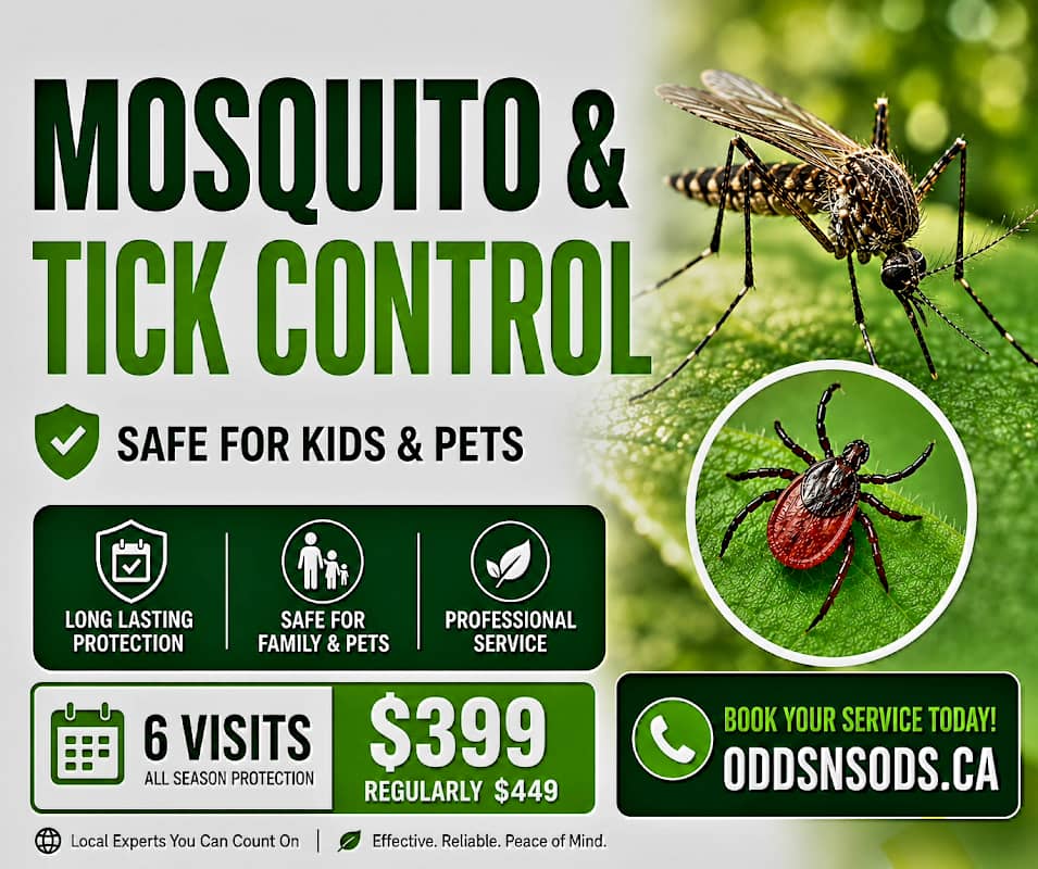lawn care by Odds N Sods Property Care in Whitby