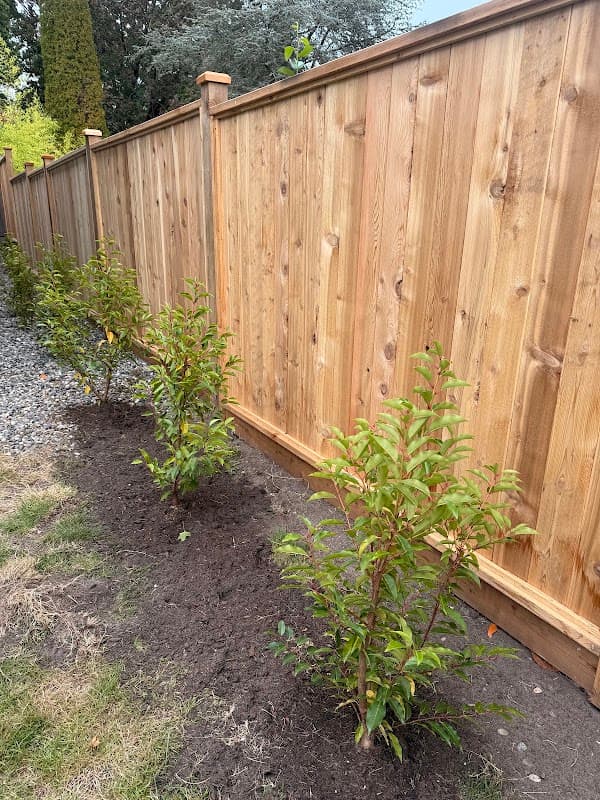 landscaping by On Track Multi Services Landscaping in Maple Ridge