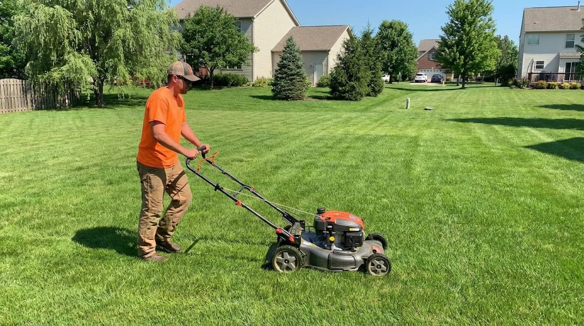 lawn care by Orange bear lawn care in Metrotown