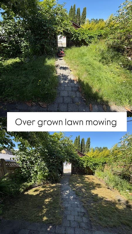 Orange bear lawn care, photograph 2 of Metrotown