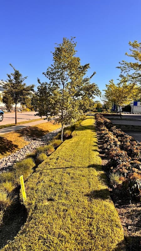 landscaping by Pacific Lawn Care in South Surrey