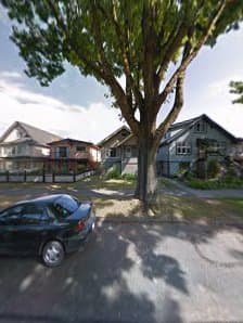 Pantropical Lawn and Garden Care, photograph 2 of Commercial Drive