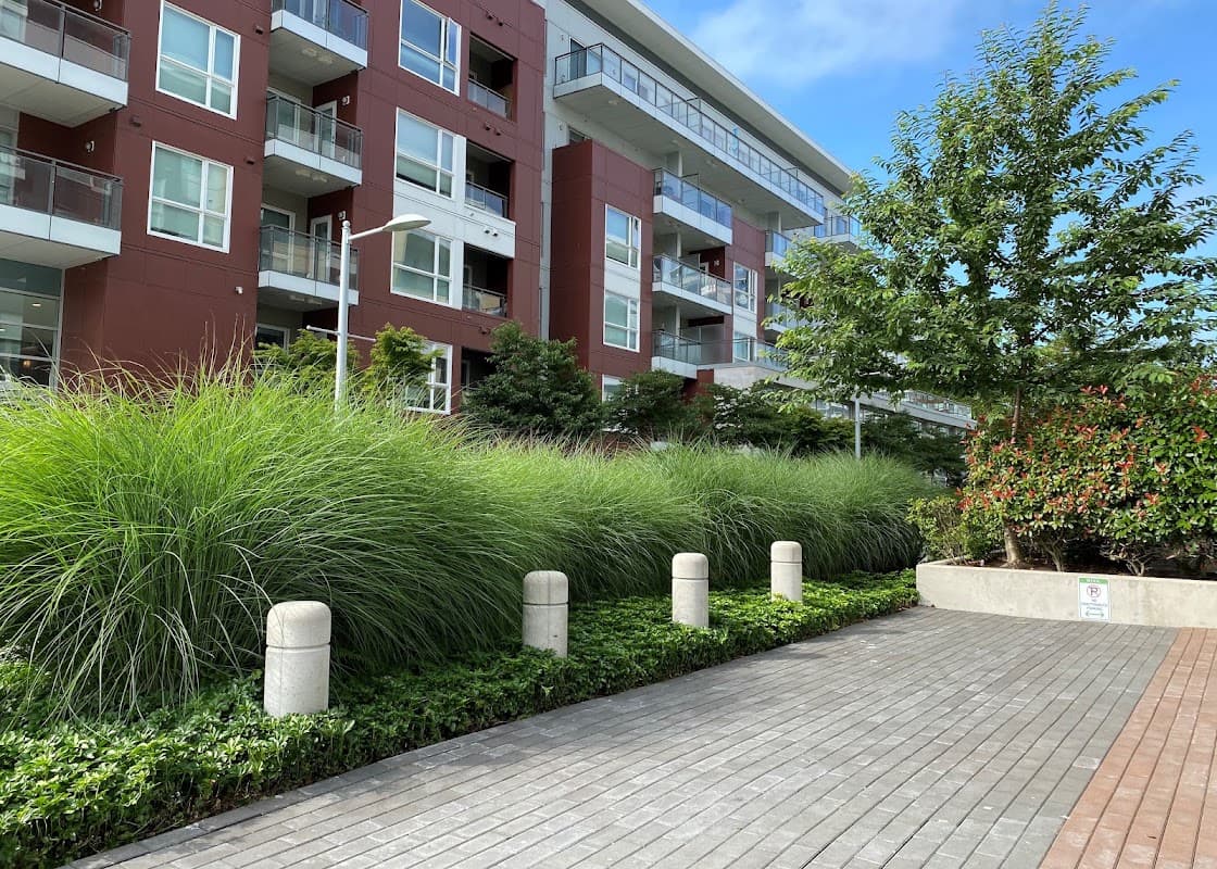 Para Space Landscaping Inc, photograph 2 of Hastings-Sunrise