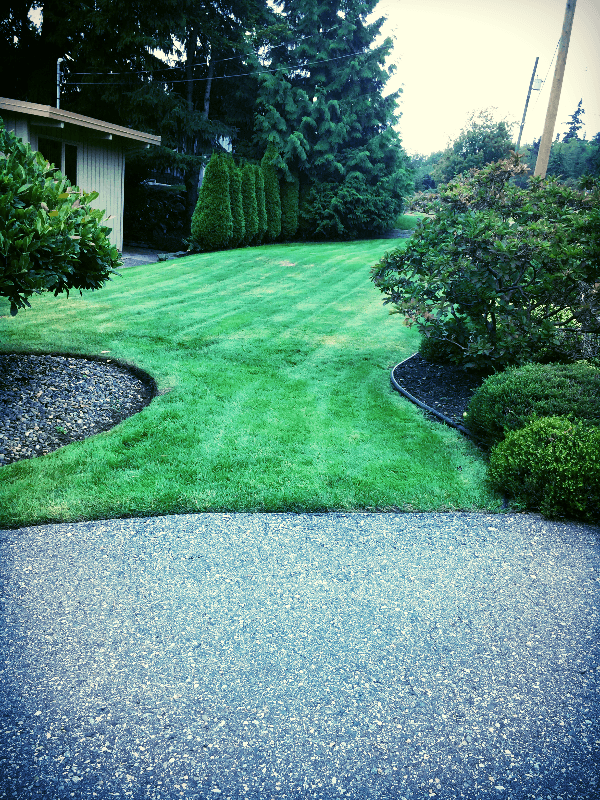 landscaping by Paradise Cove Landscaping in Ladner