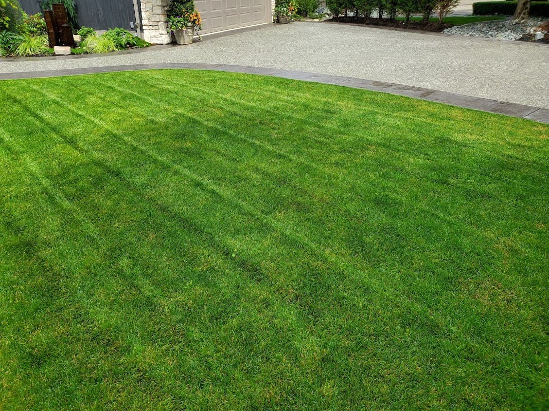 Paragon Lawn and Landscape Ltd, photograph 2 of Abbotsford