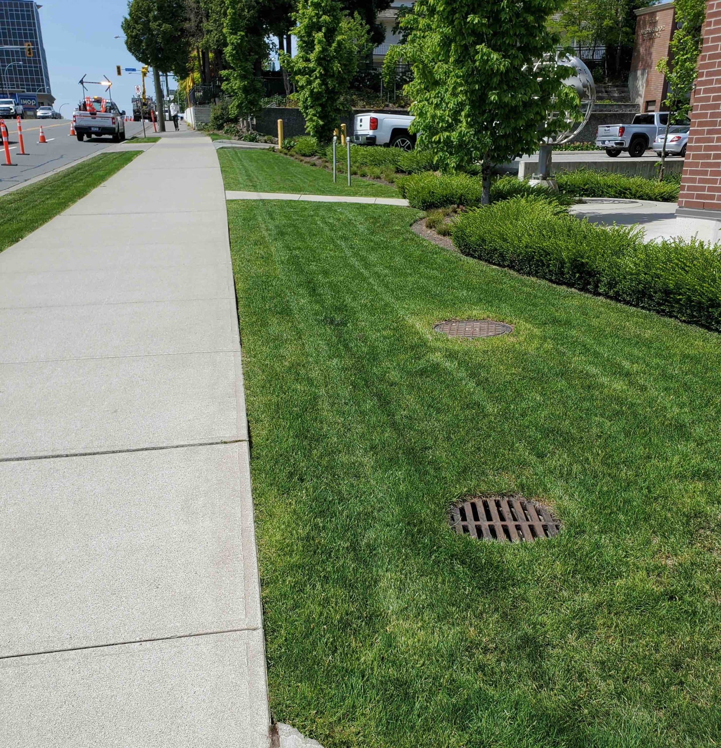 Paragon Lawn and Landscape Ltd, photograph 4 of Abbotsford