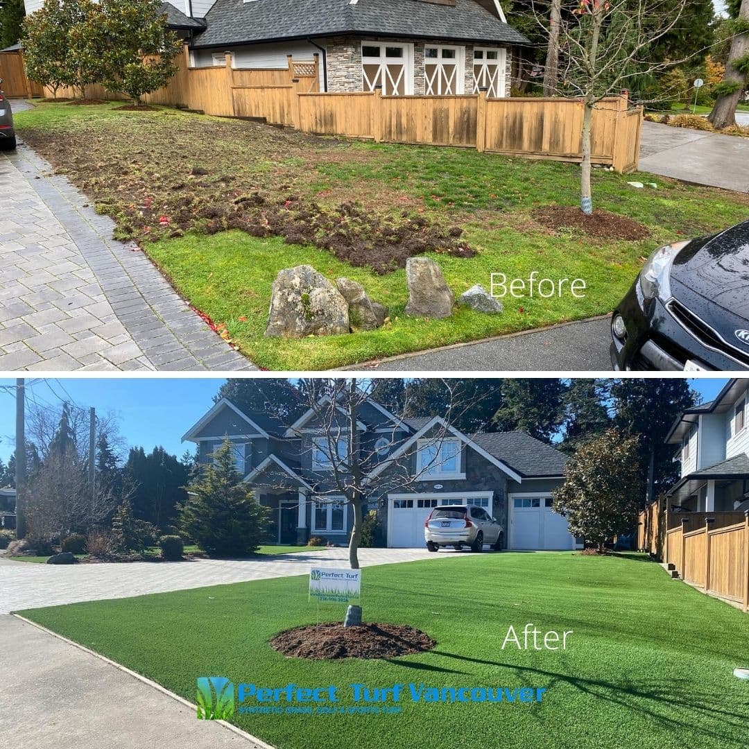 Perfect Turf Vancouver, photograph 4 of Cloverdale