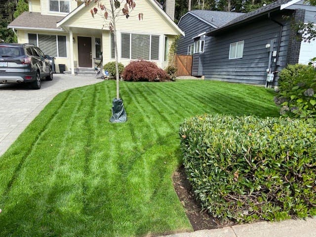 lawn care by Pilkington Lawn and Landscape in Deep Cove