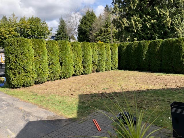 Pilkington Lawn and Landscape, photograph 2 of Deep Cove