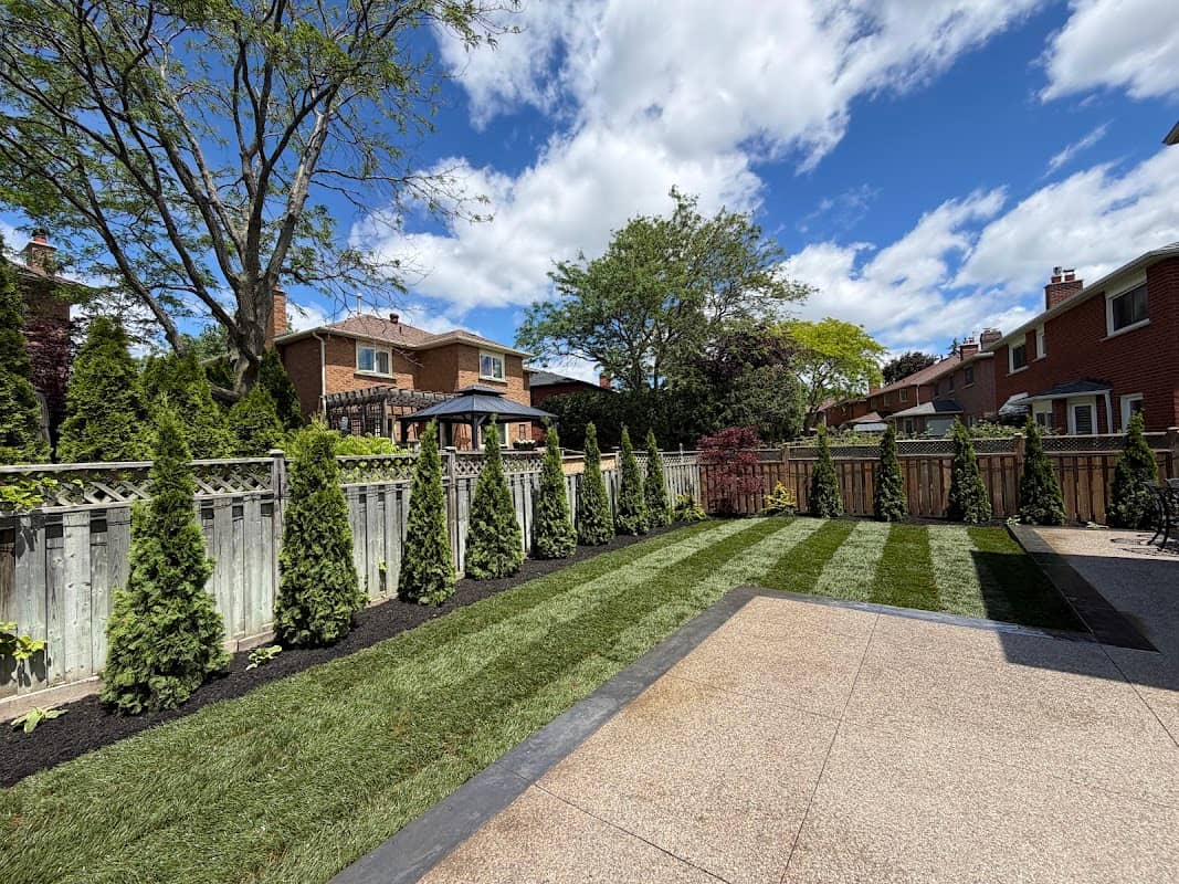 PLC Landscaping • Premium Lawn & Garden Services, photograph 2 of Islington-City Centre West