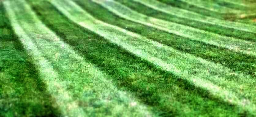 lawn care by Porcupine Lawn Care and Snow Plowing in Willowdale