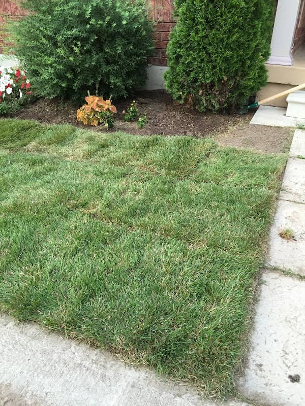 Porcupine Lawn Care and Snow Plowing, photograph 4 of Willowdale