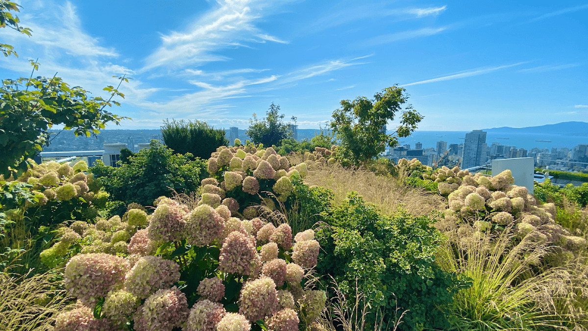 landscaping by Pristine Green Landscapes in Arbutus Ridge
