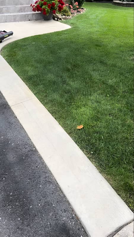 lawn care by PureGreen Lawn Care in Willowdale